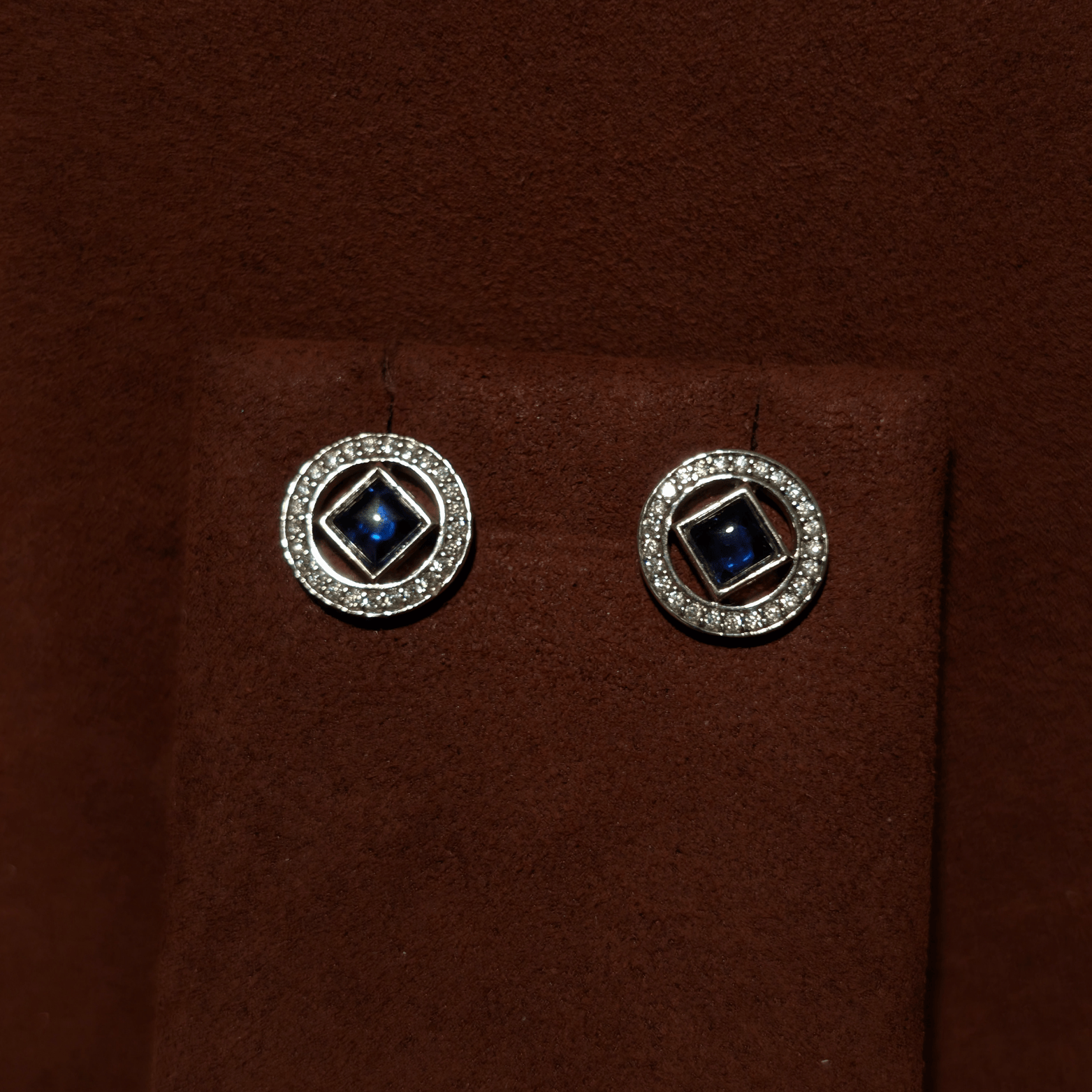 Earrings (OTJ-228)