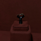 Ring (OTJ-213)