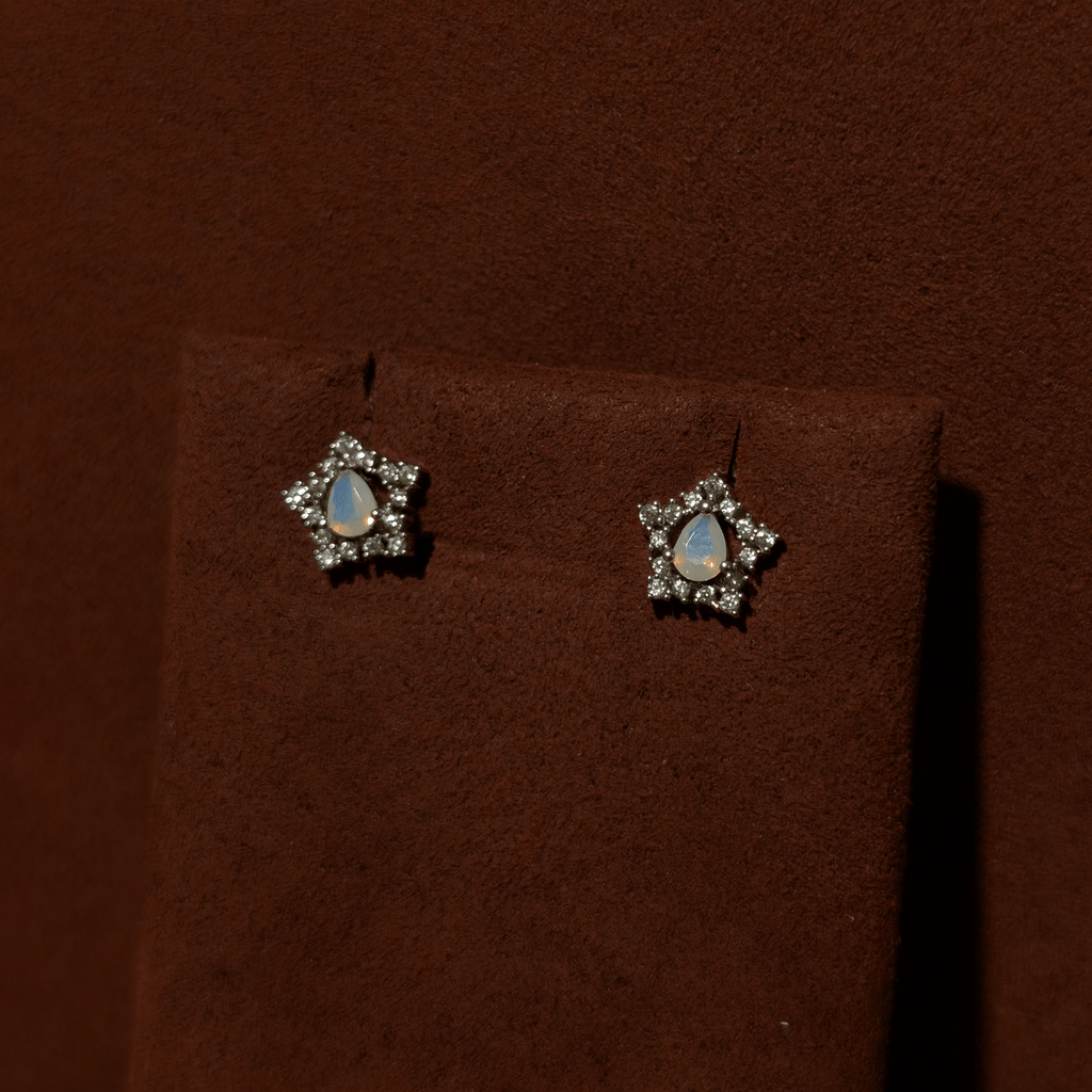 Earrings (OTJ-28)