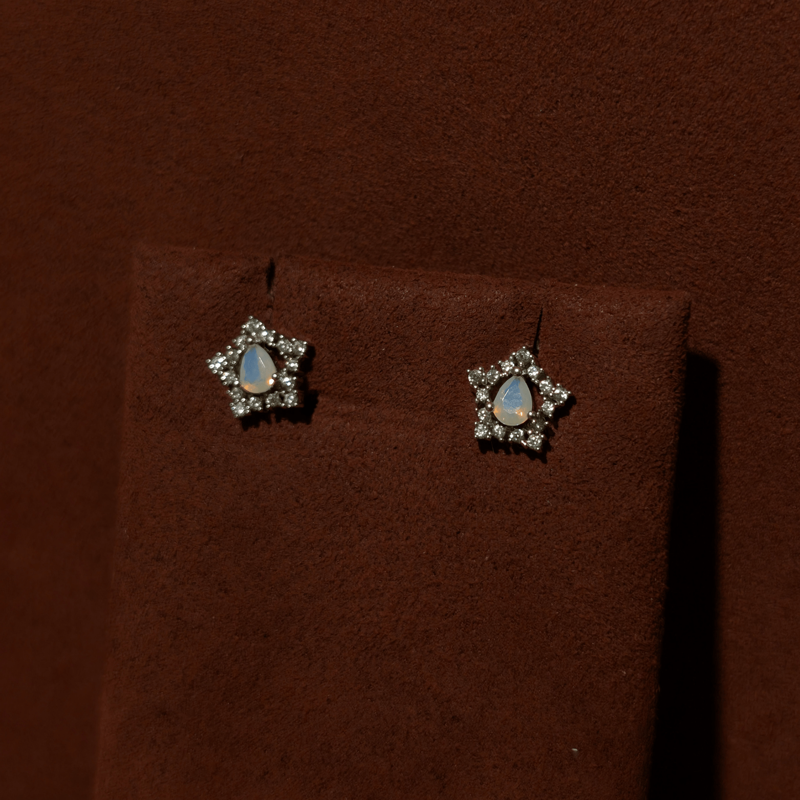 Earrings (OTJ-28)
